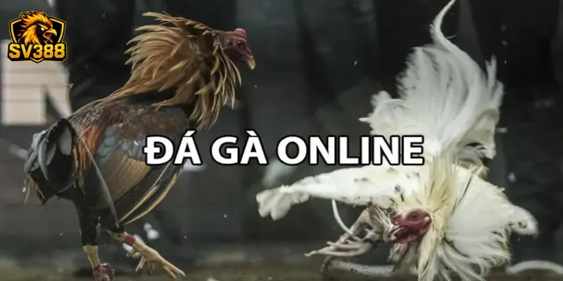 Kinh nghiệm chọn kèo gà đá SV388 trúng lớn từ cao thủ lâu năm 4 Quy trình phân tích biến động kèo tại thương hiệu SV388